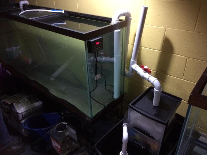 Homemade aquarium filter systems