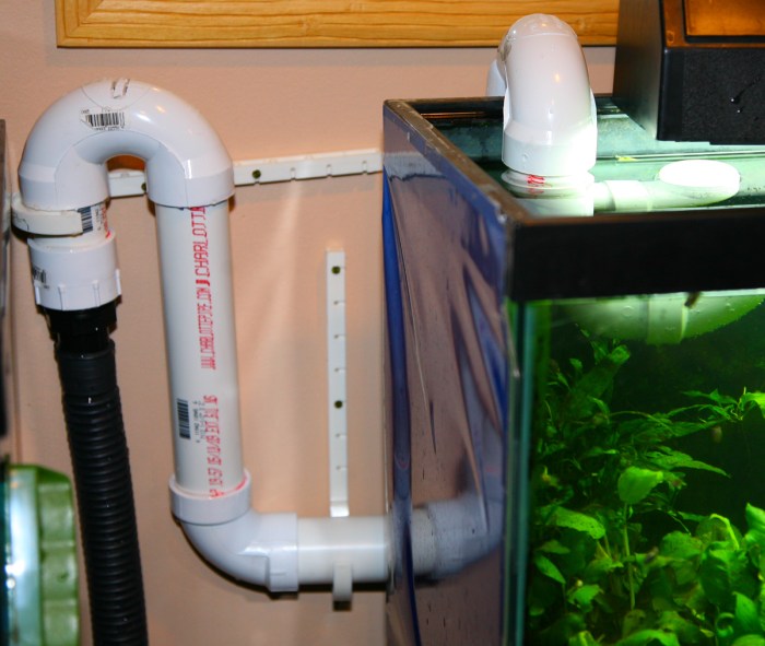 Build Homemade Aquarium Filter Systems for Crystal-Clear Water