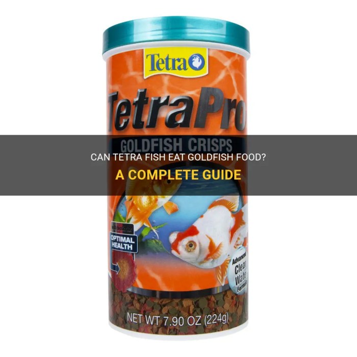 Can Goldfish Eat Tetra Food: A Diet Guide