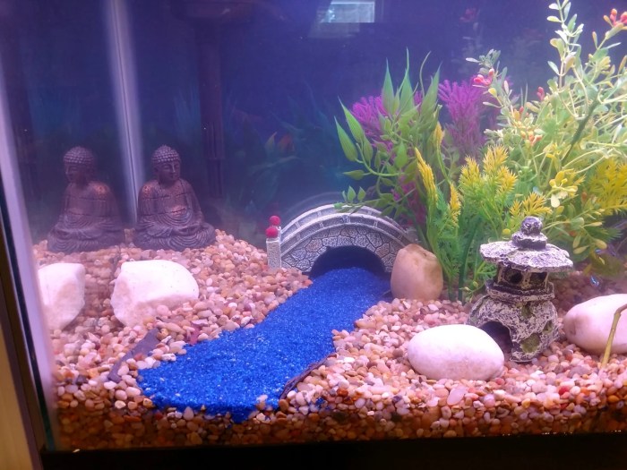 How to Make Fish Tank Decorations: A Guide for Beginners