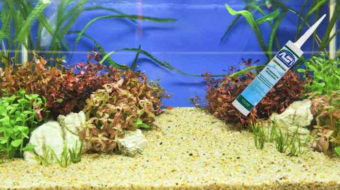 Aquarium Safe Silicone Brands: Choosing the Right Sealant