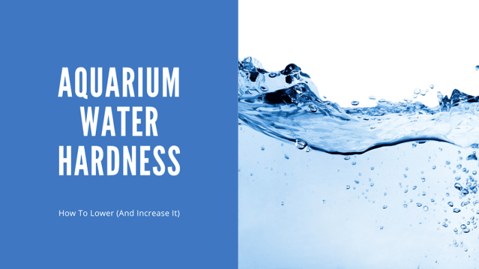 How to make aquarium water harder