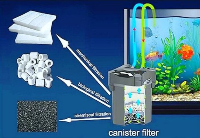 Best filter media for freshwater aquarium