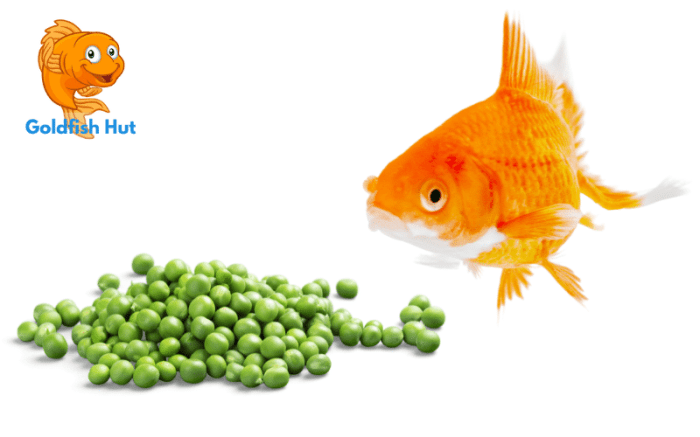 Can goldfish eat peas