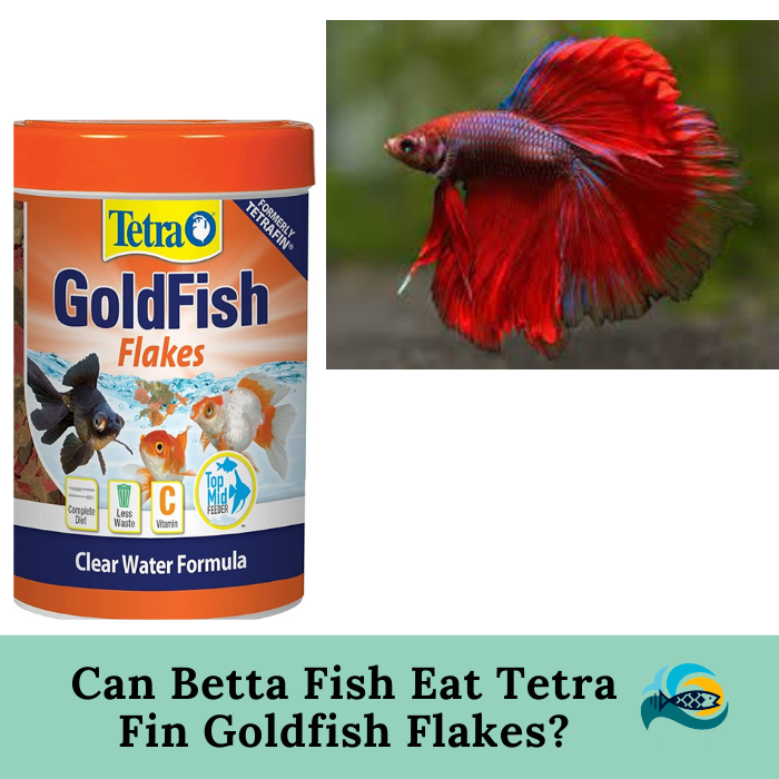 Goldfish tetra fish flakes balanced 100g