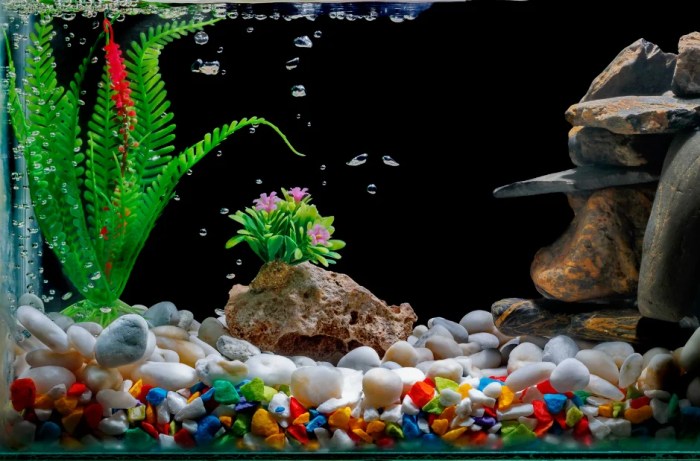 How to make fish tank decorations