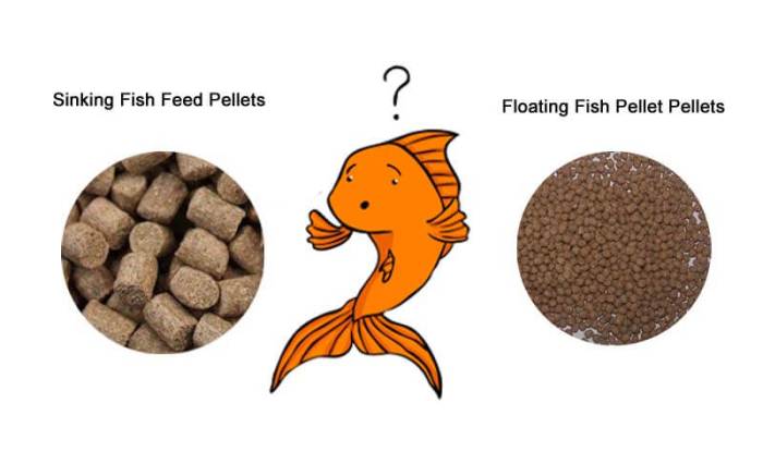 How to make fish food pellets