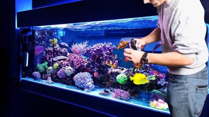 How to lower nitrate levels in a saltwater aquarium