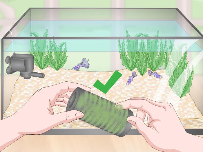 How to Lower Nitrate Levels in a Saltwater Aquarium