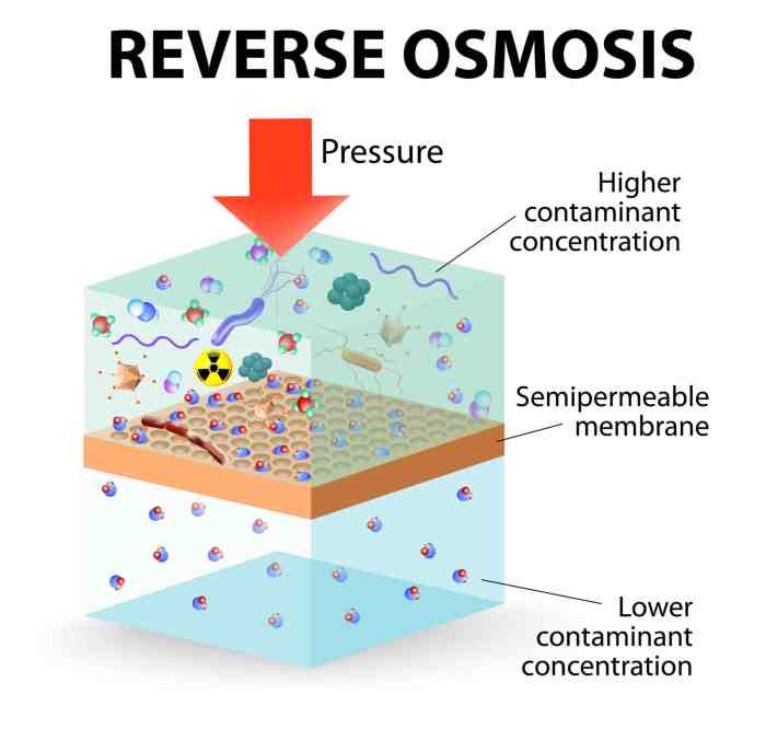 Reverse Osmosis System for a Saltwater Aquarium: Essential for Healthy Reefs