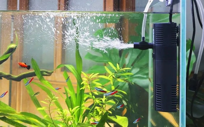 Aquarium filter choosing practicalfishkeeping features