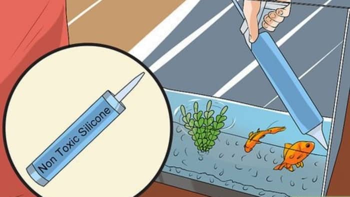 How to Repair Cracked Aquarium Glass: A Guide to Safe Restoration