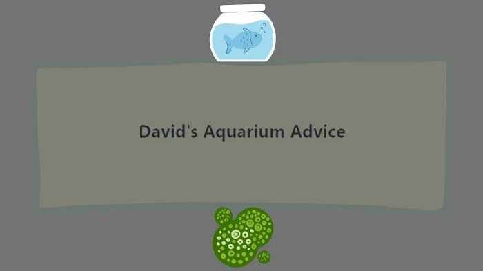 How to clear green aquarium water