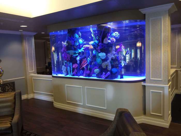 How to Make Fish Tank Decorations: Transform Your Aquarium