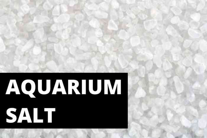 Aquarium Salt vs. Table Salt: Whats the Difference?