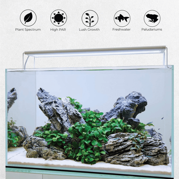 Cheap aquarium lighting for plants