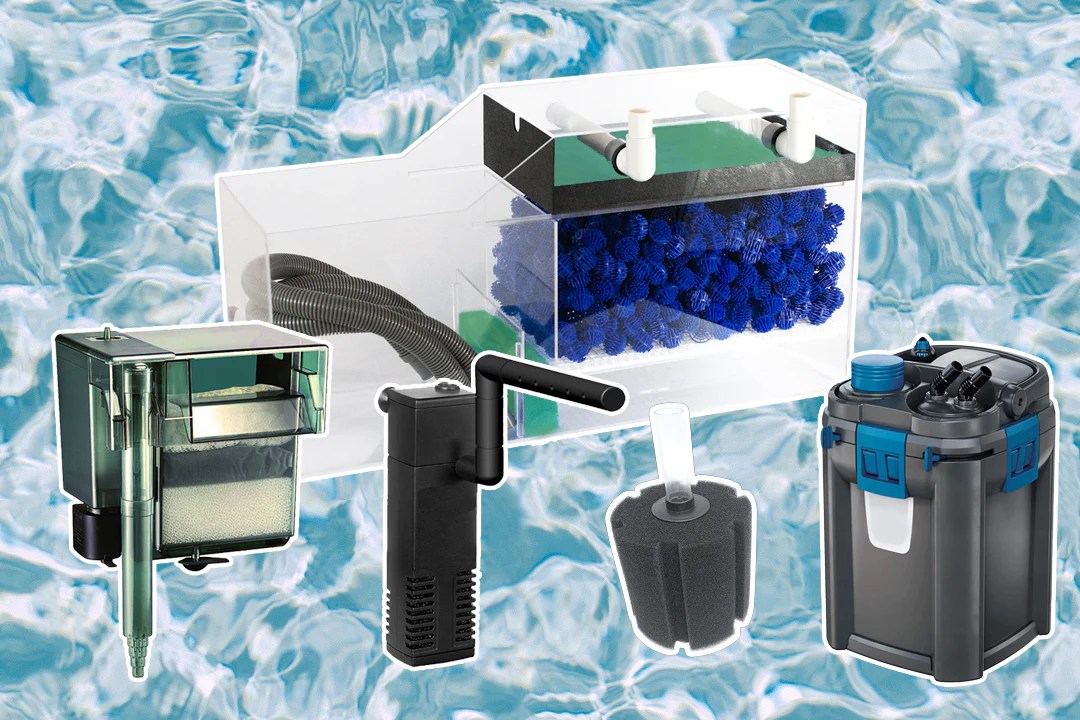 Guide to Selecting the Best Aquarium Filter