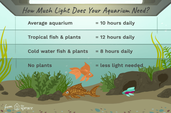 How Much Light Do Aquarium Plants Need?