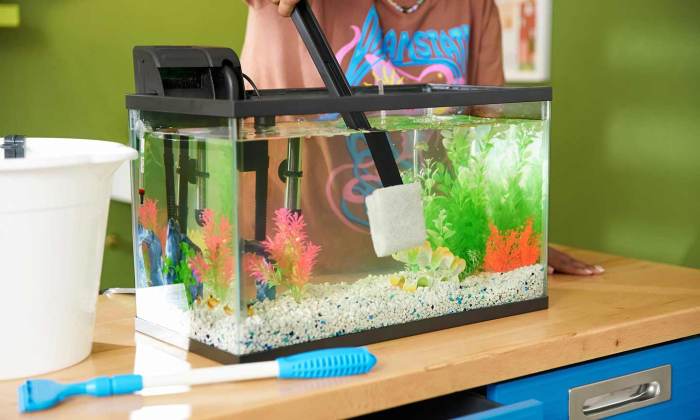 How to clean 3 gallon fish tank