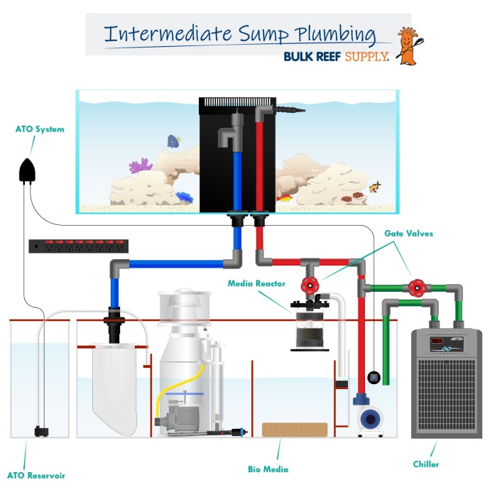 How to set up an aquarium sump