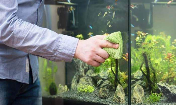 How to clean aquarium glass white residue