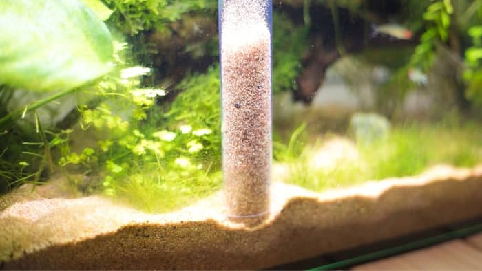 How to remove ammonia from aquarium water