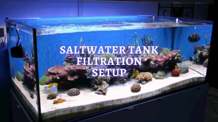 Saltwater Aquarium Filter Setup: A Comprehensive Guide